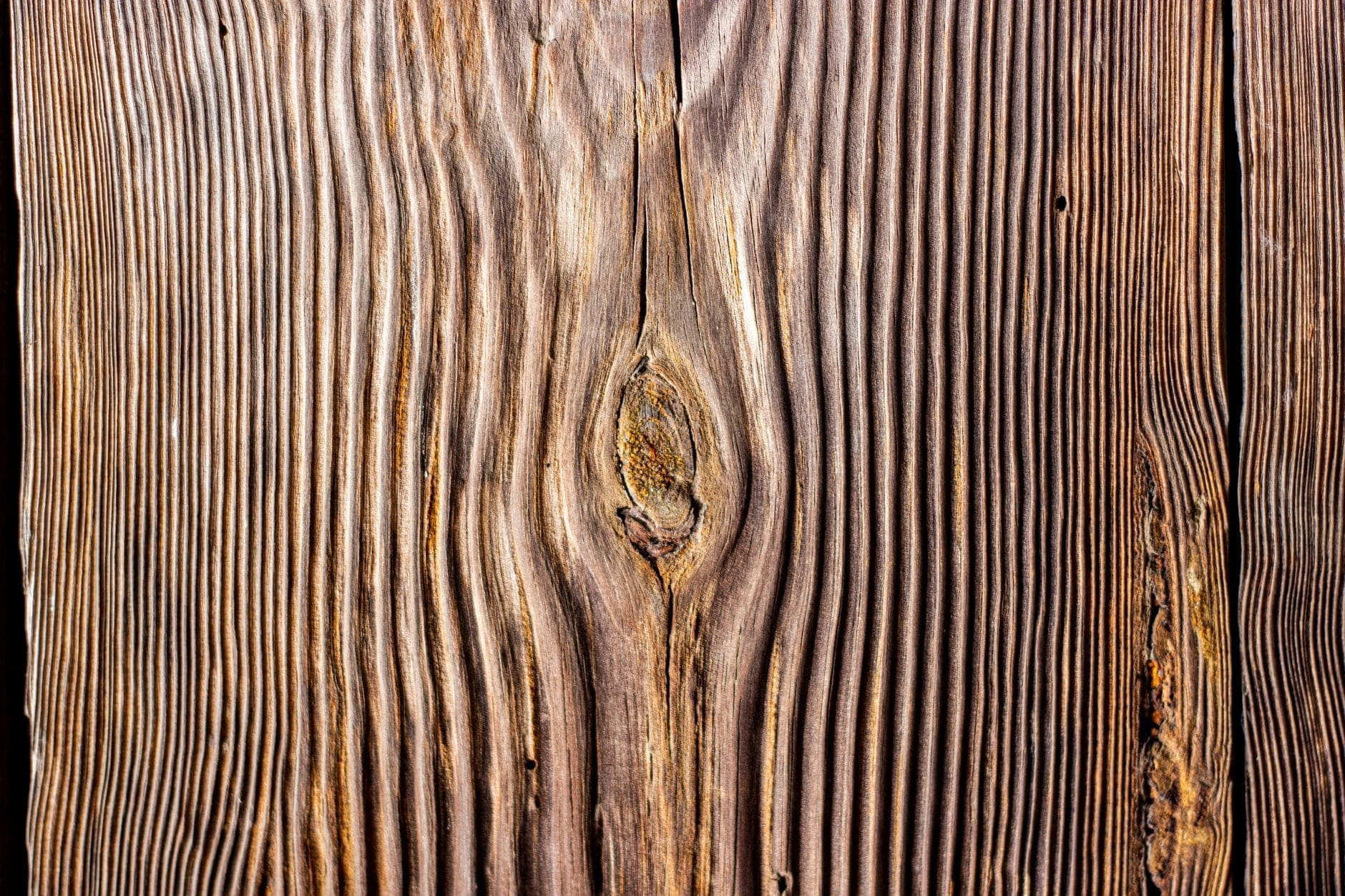Close-up of solid wood grain showing the natural movement that causes warping and splitting